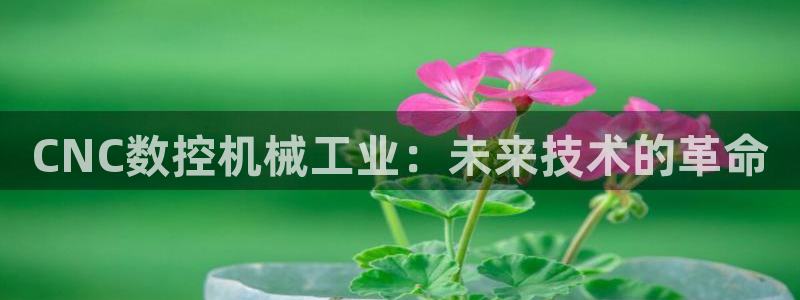 天辰娱乐输了