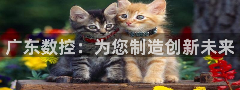 天辰娱乐APP下载