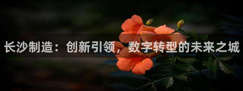 天辰娱乐卡