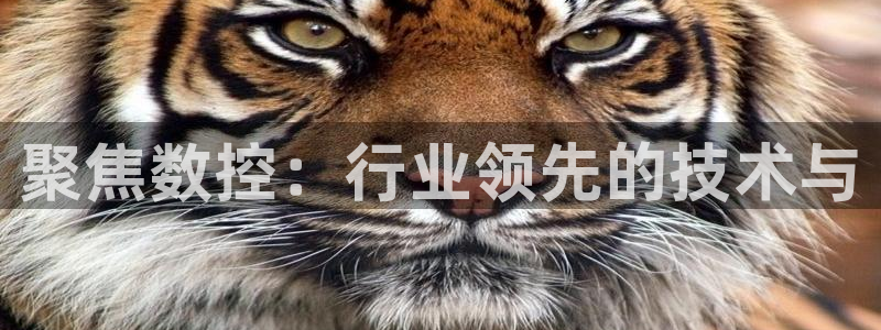 天富天辰娱乐