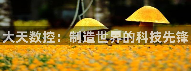 天辰娱乐tff