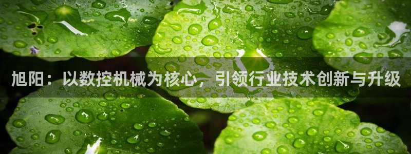 天辰娱乐下载链接