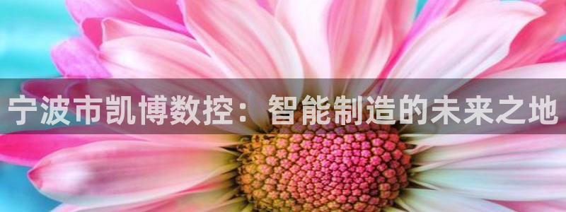 天辰娱乐股票