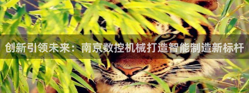 菲律宾天辰娱乐