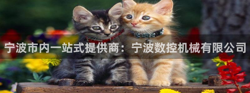 天辰娱乐官网