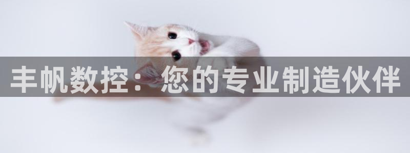 天辰娱乐指尖所