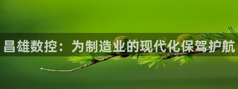 天辰娱乐网