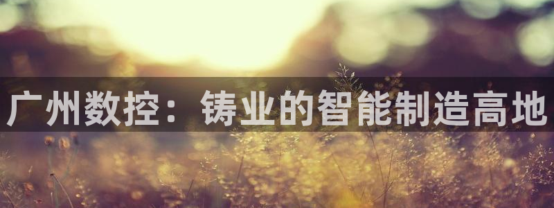 天辰娱乐彩票