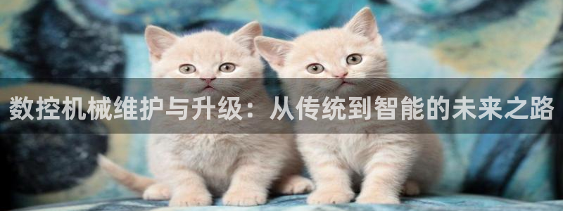 天辰娱乐