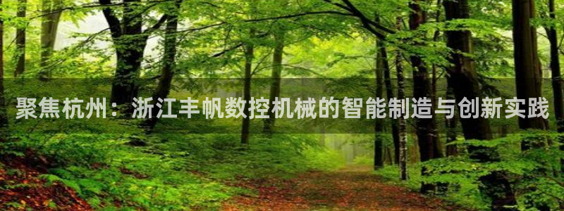 天辰娱乐新