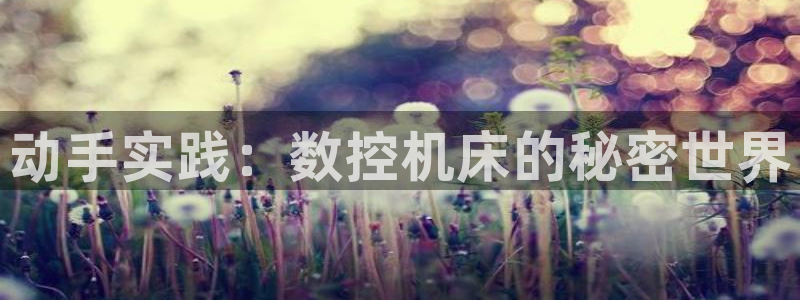天辰娱乐路线
