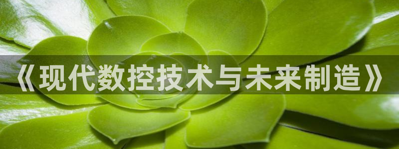 天辰娱乐51137
