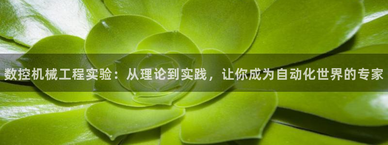 天辰娱乐 主管