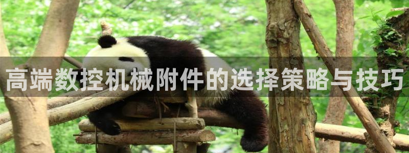 天辰娱乐娱乐注册