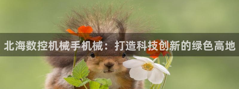 天辰娱乐 主管