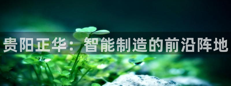 天辰娱乐2