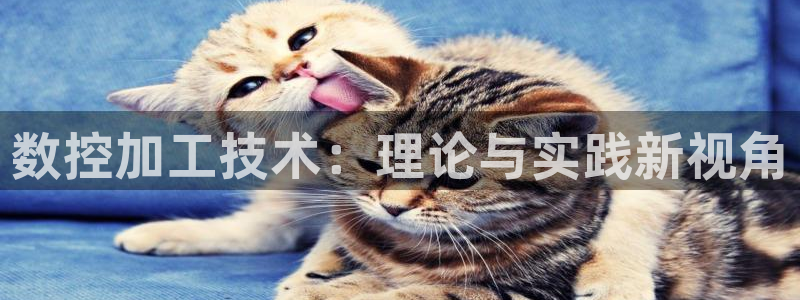 天辰国际娱乐