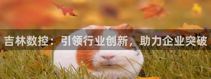 天辰娱乐 qq