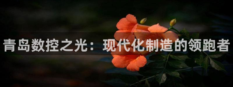 天辰娱乐957807
