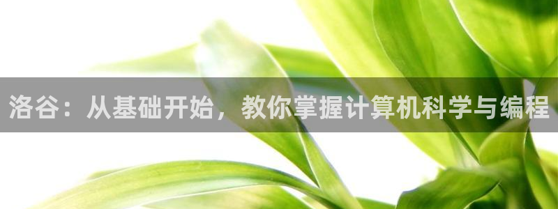 天辰娱乐上级