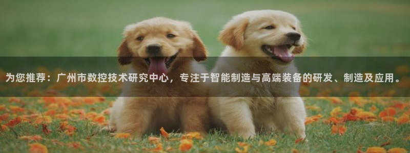 天辰娱乐 44516