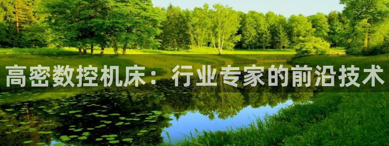 天辰娱乐 . 鱼刺