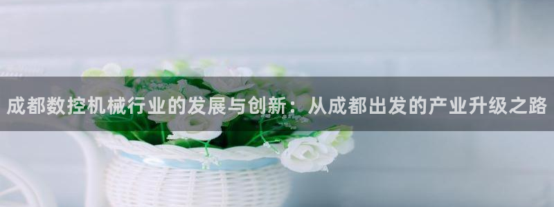 天辰娱乐维护：成都数控机械行业的发展与创新：从成都出发的产业升级之路