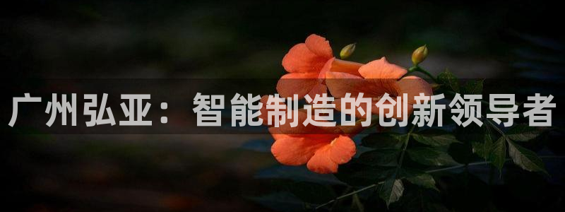 天辰娱乐首选：广州弘亚：智能制造的创新领导者