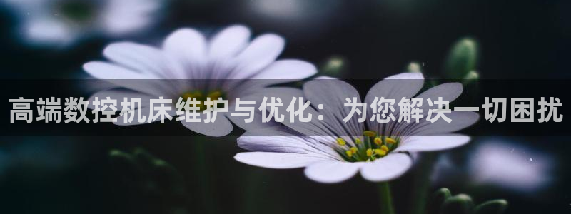 天辰娱乐台湾