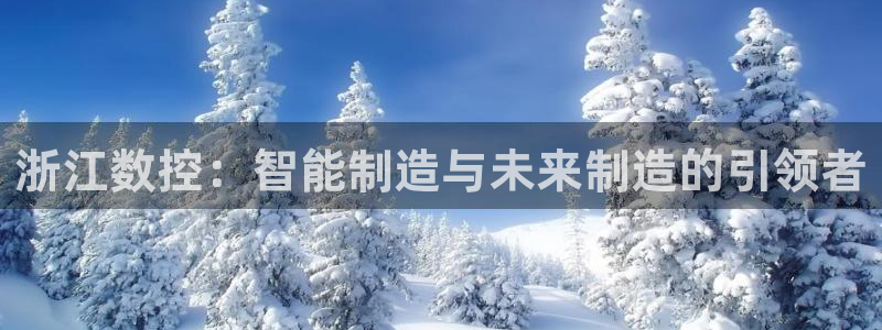 天辰团队贝高娱乐