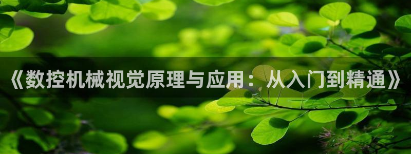 天辰娱乐主管