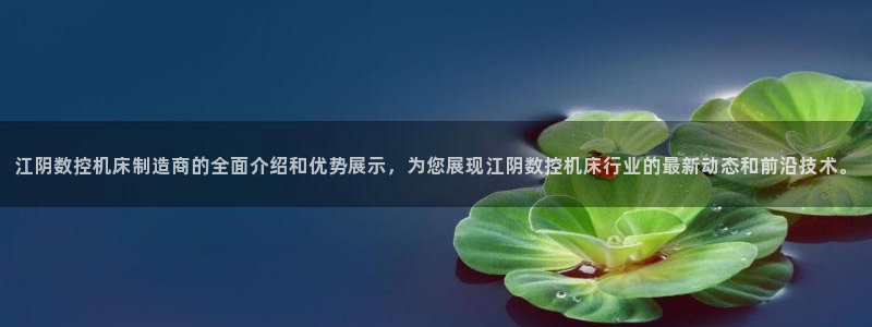 天辰宝宝娱乐