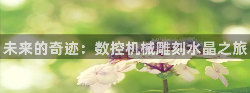 天辰娱乐注册