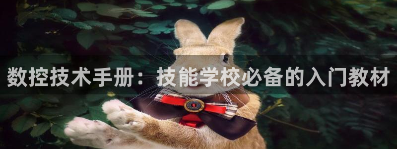 天辰娱乐地址