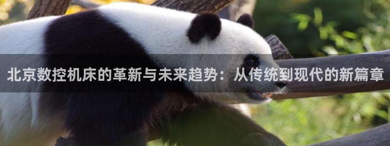 天辰娱乐 主管