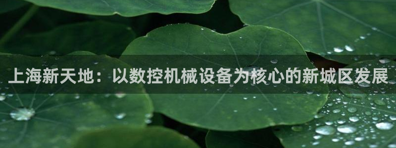 天辰娱乐线路