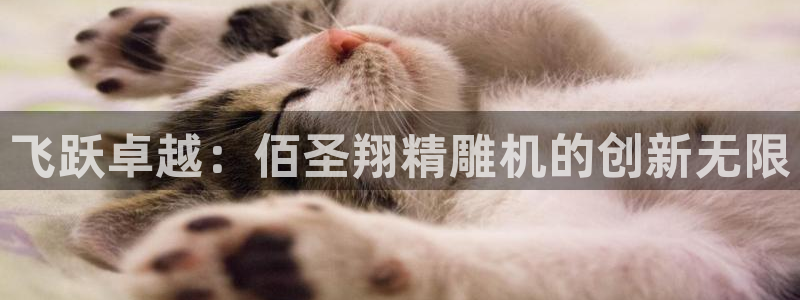 天辰娱乐电话