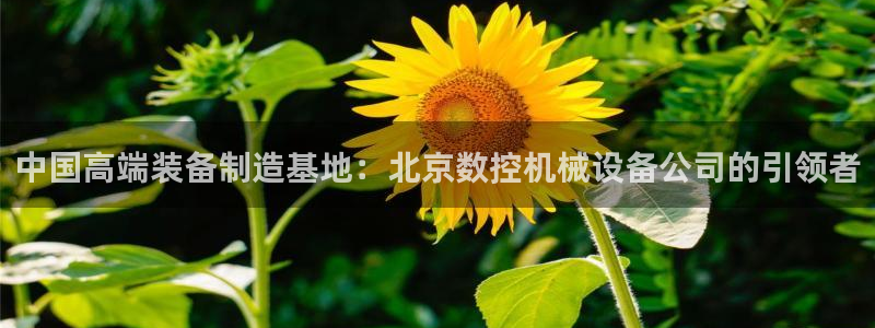 天辰娱乐84566