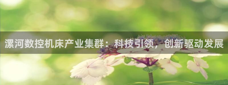 深圳天辰娱乐