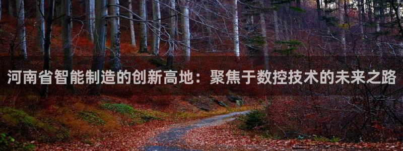 天辰娱乐解封