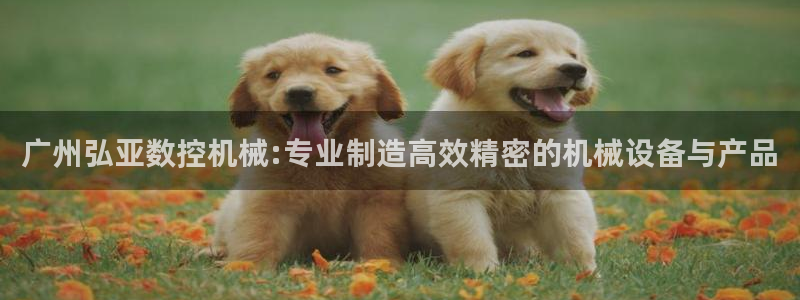 桂林天辰娱乐