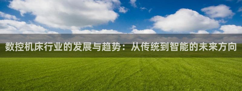 天辰彩票娱乐