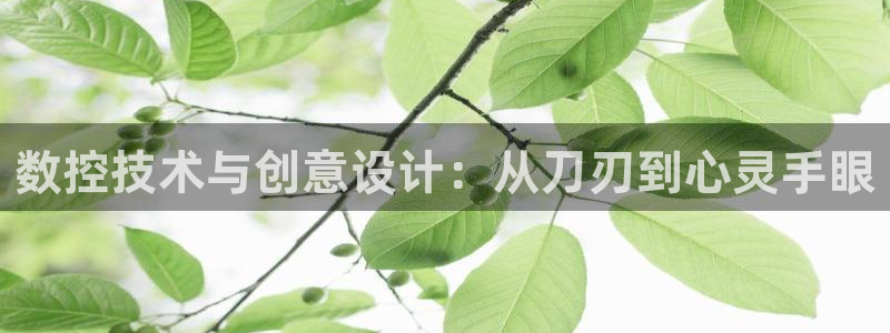 天辰娱乐557448