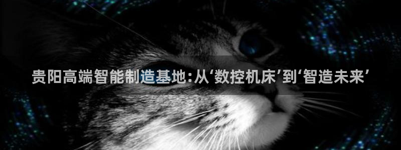 天辰娱乐简介