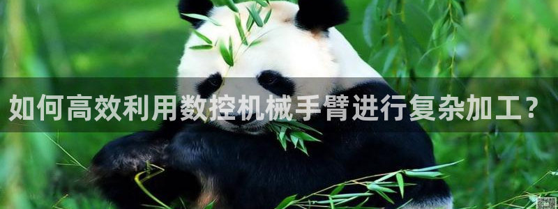 天辰娱乐代理