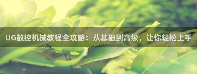 天辰 娱乐 注册
