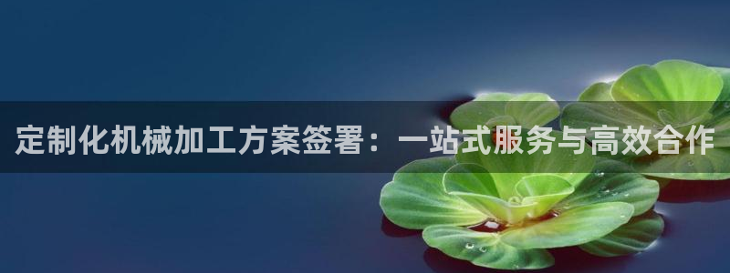 天辰国际娱乐