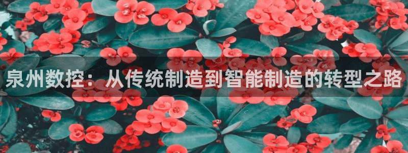 天辰娱乐指尖所
