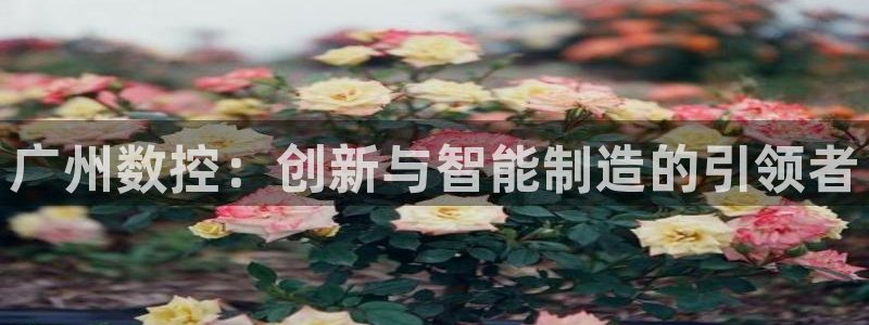 天辰娱乐怎么样