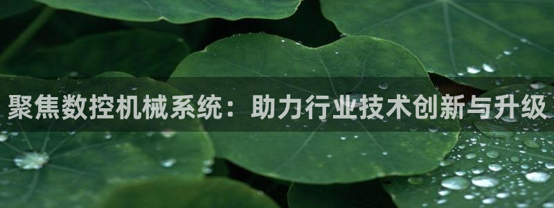 集宁天辰娱乐